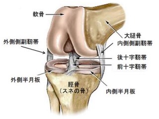 膝痛 エール整骨院